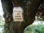 Welcome to Haultain Common garden Victoria BC