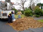 Parks Department vacuuming leaves, garden Victoria BC, Pacific Northwest
