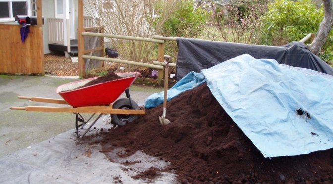 Mulching for Exercise