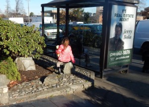 faux stone rock mulch at Denny's bus stop, garden Victoria BC Pacific North West