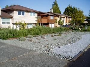 stone mulch in Gordonhead, garden Victoria BC Pacific Northwest
