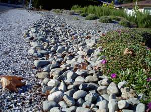 stone mulch in Gordonhead, garden Victoria BC Pacific Northwest